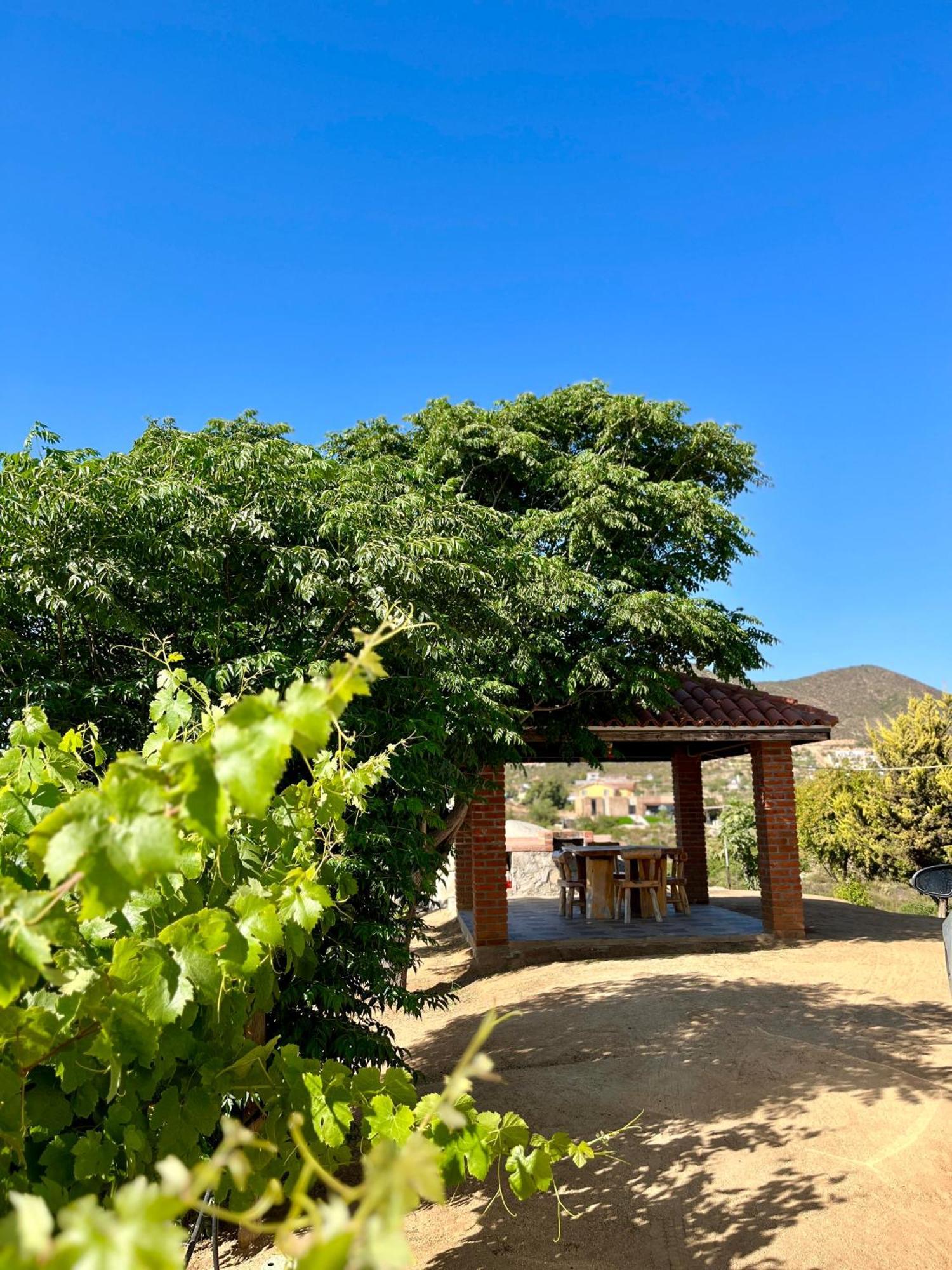 Cabanas Colibri Valle de Guadalupe Extérieur photo
